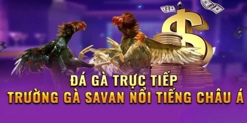 Các cặp đôi có thực lực ngang bằng sẽ được ghép cặp thi đấu