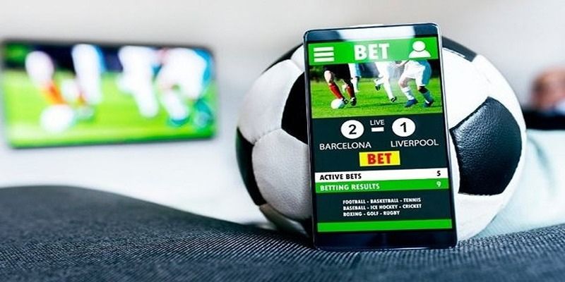 Sảnh cược cung cấp đa dạng các trận đấu trực tiếp